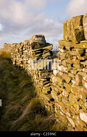 Blick über Haworth Moor in der Nähe von Top-Withins auf der Pennine Way Stockfoto