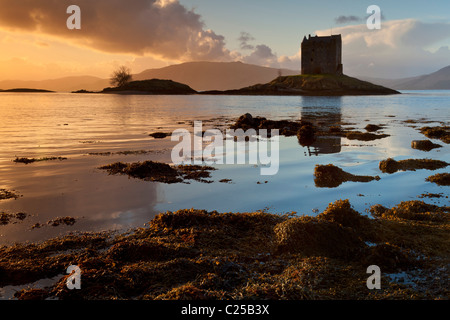 Castle Stalker Loch Laich Loch Linnhe Port Appin Argyll Scotland schottischen Highlands, UK, GB, EU, Europa Stockfoto