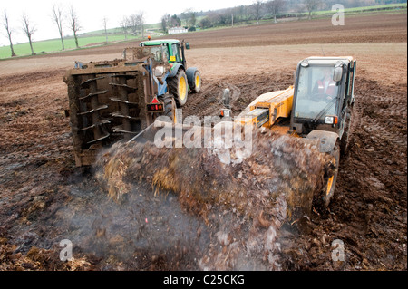 Muckspreader mit einem JCB Loadall be- Stockfoto