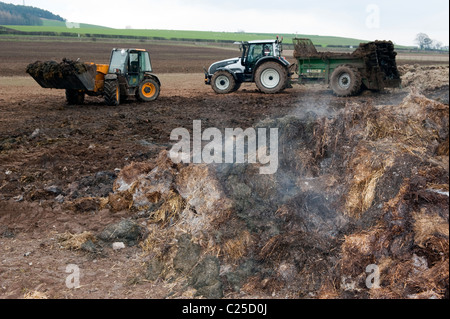 Muckspreader mit einem JCB Loadall be- Stockfoto