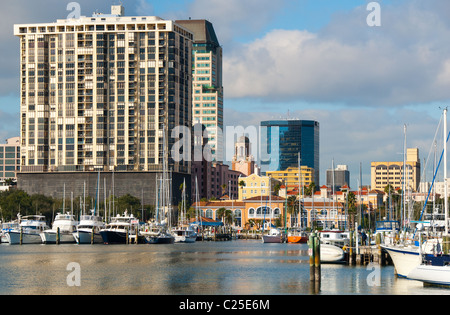 City Center und Yacht Becken mit Blick auf Tampa Bay in St. Petersburg, Florida, USA Stockfoto