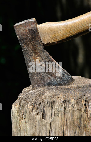 Closeup auf Holzfäller Axt stecken in einem Hackstock mit natürlichen Hintergrund Stockfoto
