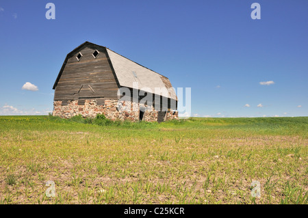 Verlassene Scheune im Feld Stockfoto