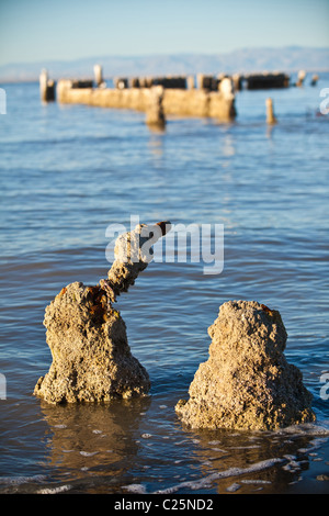 Salz verkrustet Anlegestellen entlang der Küste des Salton Meeres bei Sonnenaufgang Imperial Valley, CA. Stockfoto