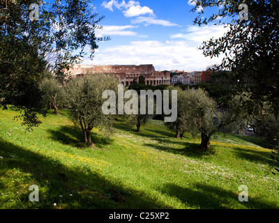Alten Rom: Kolosseum aus dem Palatin, Rom, Italien Stockfoto
