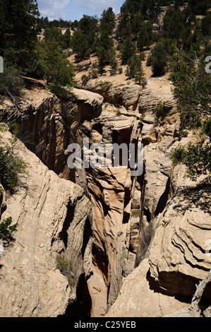 Bull-Tal-Schlucht im südlichen Utah, USA auch bekannt als ein Slotcanyon. Stockfoto