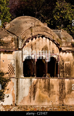 Tiger sitzend in einem Palast im Ranthambore Tiger reserve Stockfoto