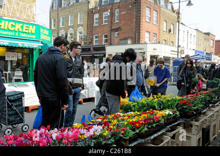 Pflanze Stand Kapelle Markt Islington London England UK Stockfoto