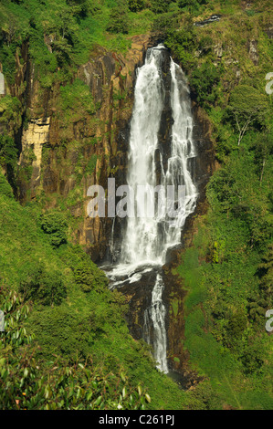 Dewon Falls SriLanka Stockfoto