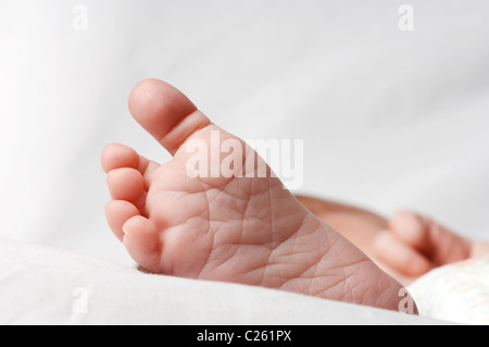 Nahaufnahme von winzigen Babys Sohle von Fuß und Zehen vor weißem Hintergrund material Stockfoto