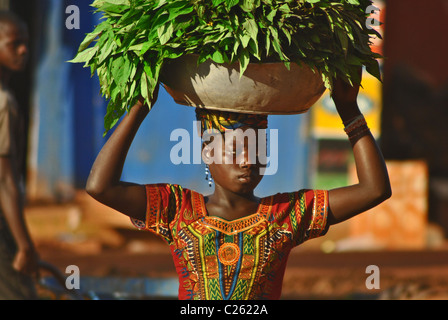 Mädchen tragen Tabak lässt in der Stadt des Mannes, Côte d ' Ivoire Stockfoto