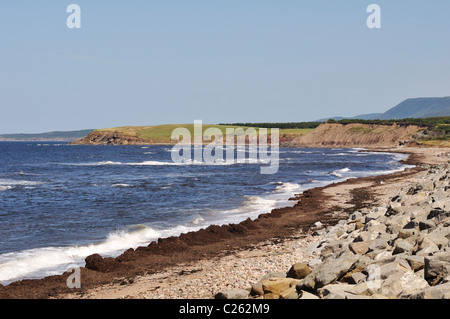 Zerklüftete Küste von Cape Breton Stockfoto