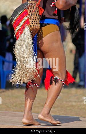 Wanchos Mann, Stamm im Namdapha Eco Kulturfestival, Miao, Arunachal Pradesh, Indien Stockfoto