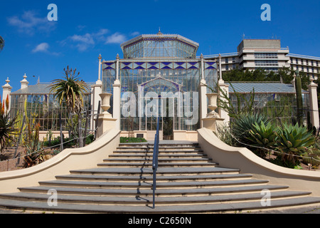 Außenseite der restaurierten Palmenhaus, Adelaide Botanic Gardens, South Australia Stockfoto