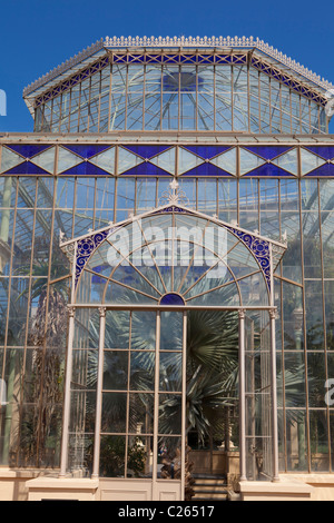 Außenseite der restaurierten Palmenhaus, Adelaide Botanic Gardens, South Australia Stockfoto