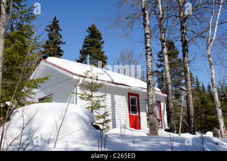 Bilderbuch: schöner sonniger Tag, in der kleinen Hütte mit roten Tür tief im Wald. Stockfoto