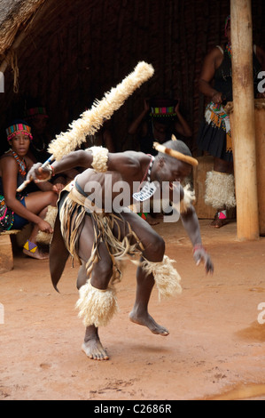 Südafrika, Durban, Tal der tausend Hügel, Phezulu Park. Traditionelle Zulu Kulturpark. Stockfoto