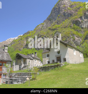 Dorf auf einer Bergwiese Blume mit alten Häusern der Rohstein im Tal Bavona die wildeste der ganzen Tessin, Schweiz Stockfoto