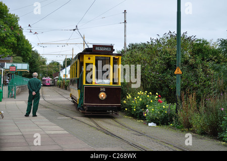 Tram 16 an Colyton gebräuchlich für Fahrkurse Erfahrung. Stockfoto