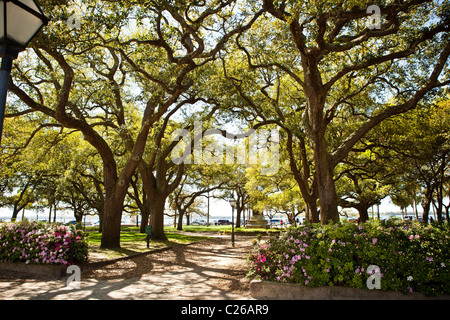 White Point Gardens entlang der Batterie in Charleston, SC. Stockfoto