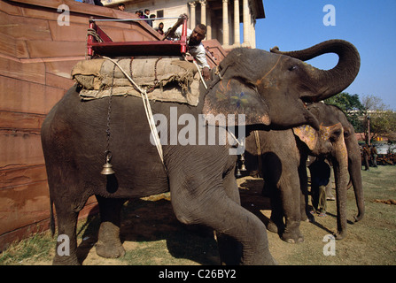 Ein ausgebildeter Elefant ist durch den Hundeführer Willkommen im Januar 26 Republic Day feiern in New Delhi, Indien bereit. Stockfoto