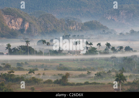 Vinales Tal bei Dämmerung, Mogotes, Provinz Pinar Del Rio, Kuba Stockfoto