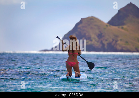 junge japanische Frau im Bikini mit ihrem Paddel Board im Ozean in Hawaii Stockfoto