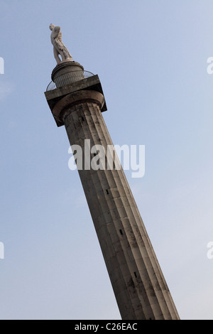 Herr Hill Spalte, außerhalb des Büros in Shrewsbury, Shropshire, England. Stockfoto