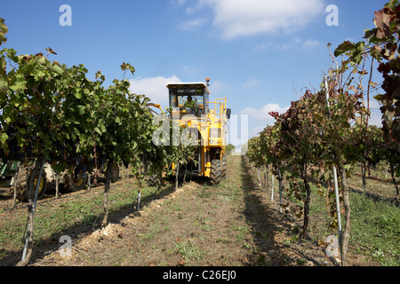Mähdrescher auf einem Weingut in Raimat LLeida Spanien Stockfoto