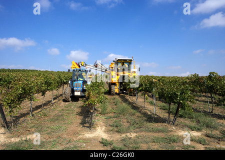 Mähdrescher auf einem Weingut in Raimat LLeida Spanien Stockfoto