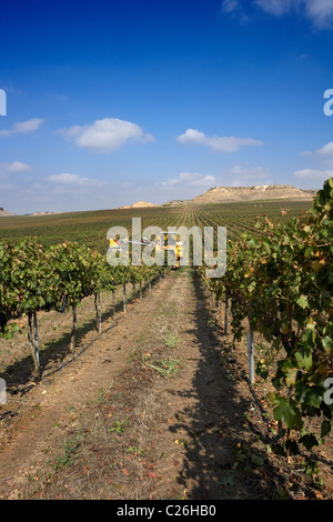Mähdrescher auf einem Weingut in Raimat LLeida Stockfoto