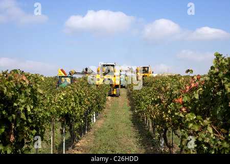 Mähdrescher auf einem Weingut in Raimat LLeida Stockfoto