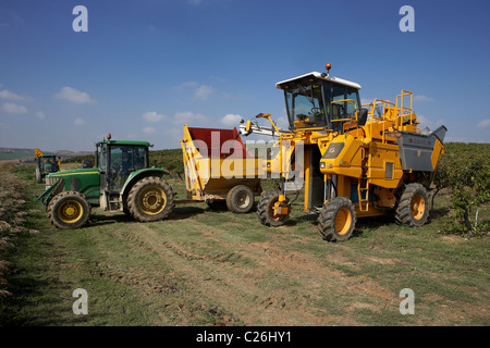 Mähdrescher auf einem Weingut in Raimat LLeida Stockfoto