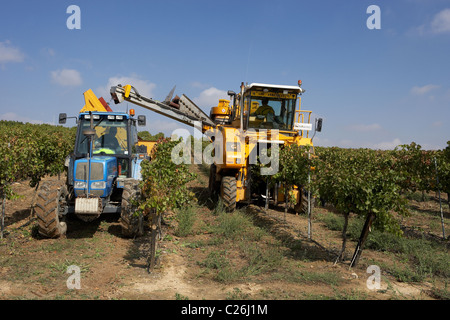Mähdrescher auf einem Weingut in Raimat LLeida Stockfoto