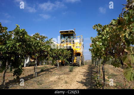 Mähdrescher auf einem Weingut in Raimat LLeida Stockfoto