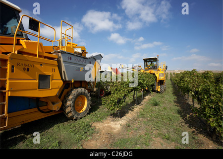 Mähdrescher auf einem Weingut in Raimat LLeida Stockfoto