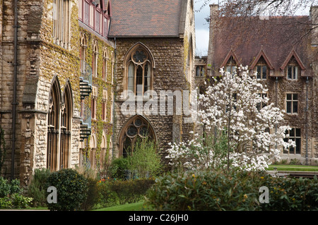 Cheltenham Ladies College - Hof - im Frühling - mit einem herrlichen weiß blühende Magnolie. Gloucestershire, UK. Stockfoto