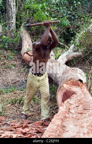 ein Holzfäller machen einen Einbaum, Betou, Ubangi Fluß, Republik Kongo Stockfoto