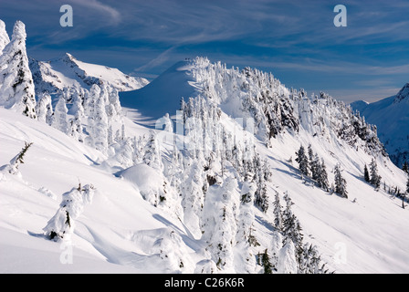 Winter auf Kulshan Ridge Heather Wiesen Recreation Area North Kaskaden Washington USA Stockfoto