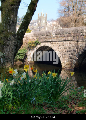 Brücke über den Fluß Tavy, Tavistock, Devon, UK Stockfoto