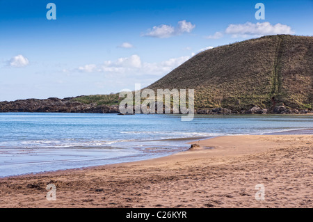 Coldingham Strand und Bucht, Scottish Borders, UK Stockfoto