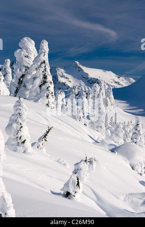 Winter auf Kulshan Ridge Heather Wiesen Recreation Area North Kaskaden Washington USA Stockfoto