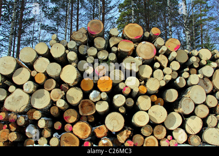 Gestapelte Holzscheite in Wald, horizontale Ansicht Stockfoto