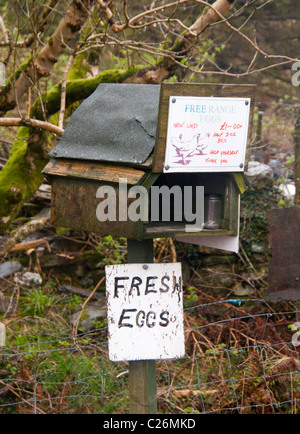 Freilandeier für den Verkauf außerhalb Bauernhof mit Ehrlichkeit Box für Zahlung Gwynedd Snowdonia North Wales UK Stockfoto