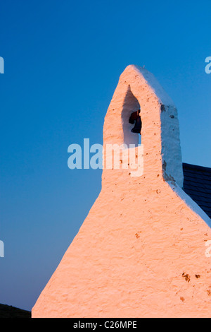 Kirche des Heiligen Kreuzes (Eglwys y Grog) Details der Schachtelhalm bei Sonnenuntergang Mwnt Ceredigion West Wales UK Stockfoto