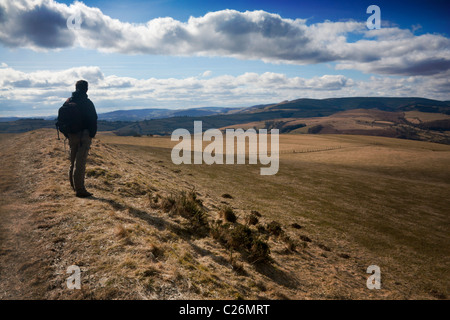 Walker auf Offa es Dyke Langstrecken Fußweg in Hawthorn Hill in der Nähe von Knighton Powys Mid Wales UK Stockfoto