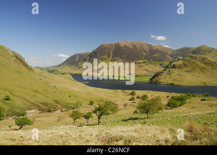 Blick über Crummock Wasser in Richtung Grasmoor, Rannerdale Knotts und Whiteless Hecht im Sommer im englischen Lake District Stockfoto