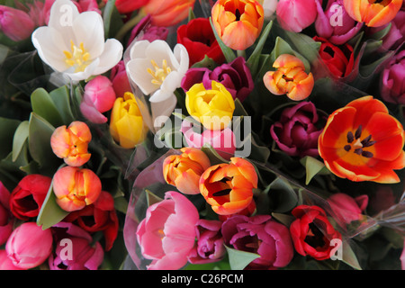 Tulip Bouquet für Verkauf Stockfoto