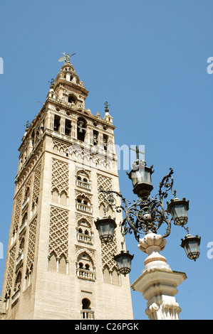 Giralda Turm. Sevilla.Andalucia, Spanien Stockfoto
