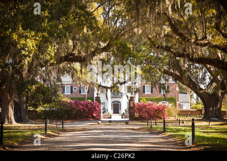 Boone Hall Plantation in Charleston, SC. Stockfoto